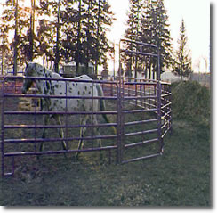 Your Round Pen Dealer
